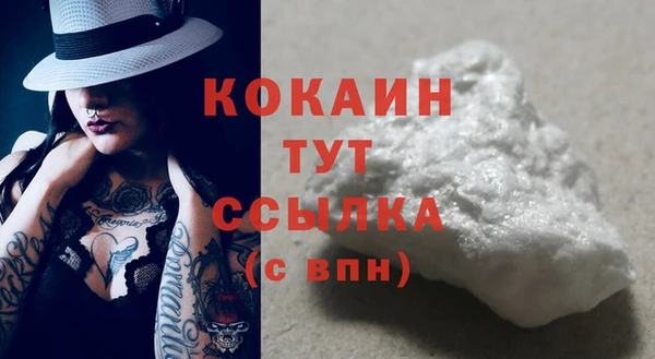 хмурый Алзамай