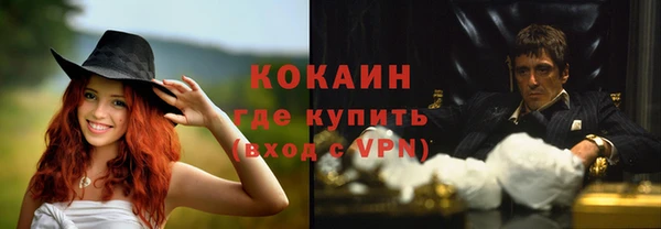 хмурый Алзамай
