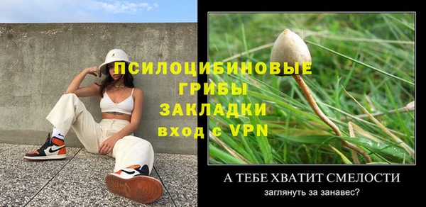 дживик Алексеевка