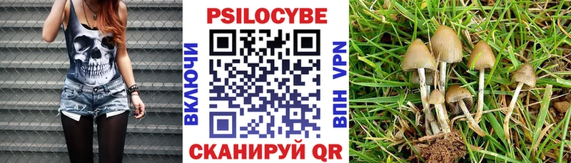 Галлюциногенные грибы прущие грибы  Нижний Тагил 